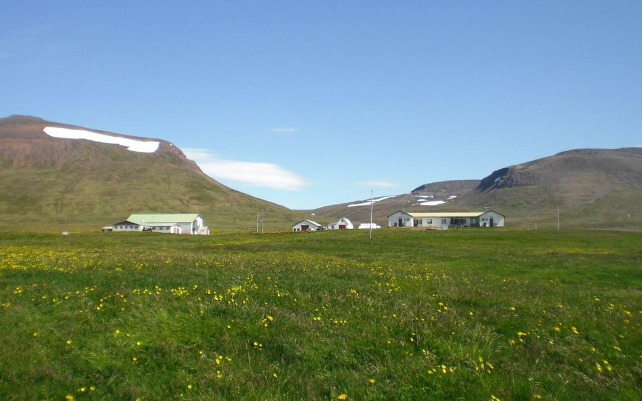 Steinnyjarstathir Skagastrond المظهر الخارجي الصورة