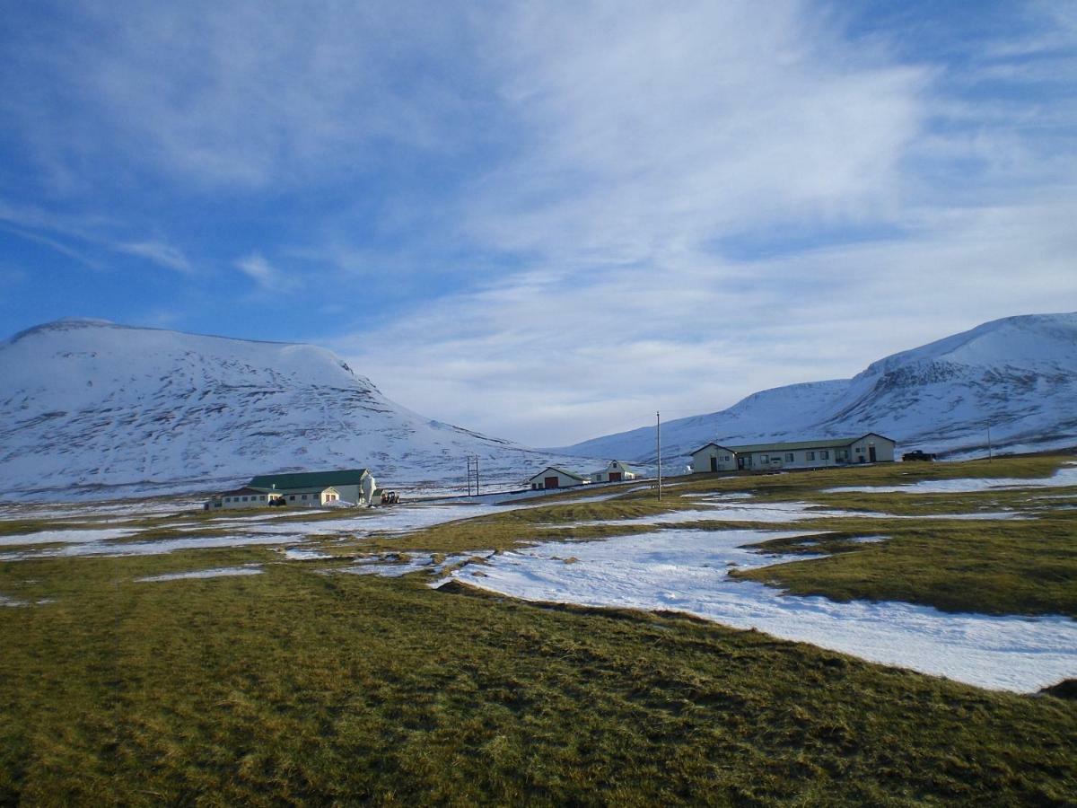 Steinnyjarstathir Skagastrond المظهر الخارجي الصورة