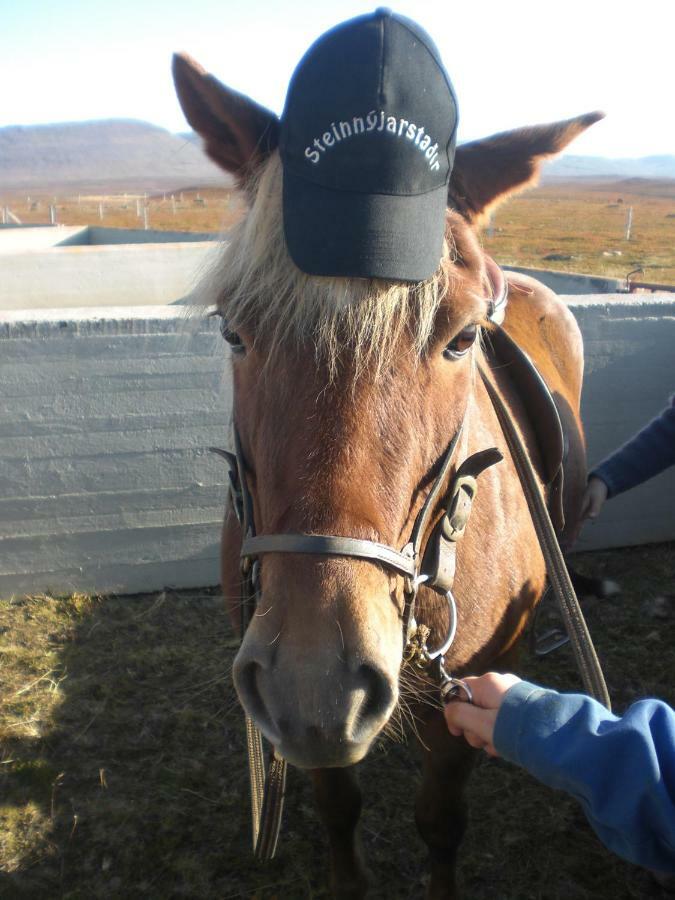 Steinnyjarstathir Skagastrond المظهر الخارجي الصورة